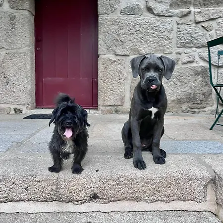 Casa Da Eira * Marco de Canavezes