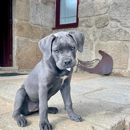 Dom wakacyjny Casa Da Eira Marco de Canavezes