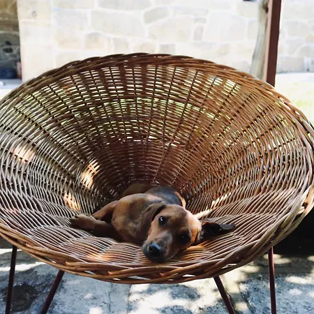 Dom wakacyjny Casa Da Eira