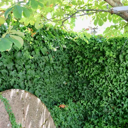 Dom wakacyjny Casa Da Eira *