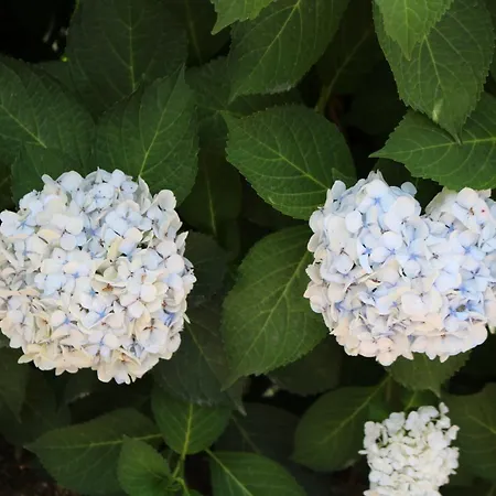 بيت للعطل Casa Da Eira *