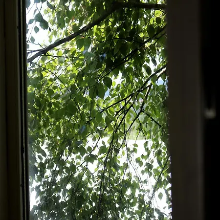 Casa Da Eira Marco de Canavezes