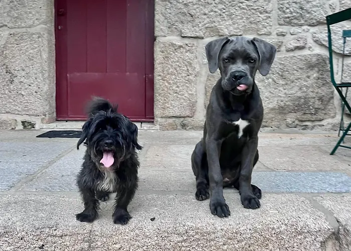Casa Da Eira * Marco de Canavezes