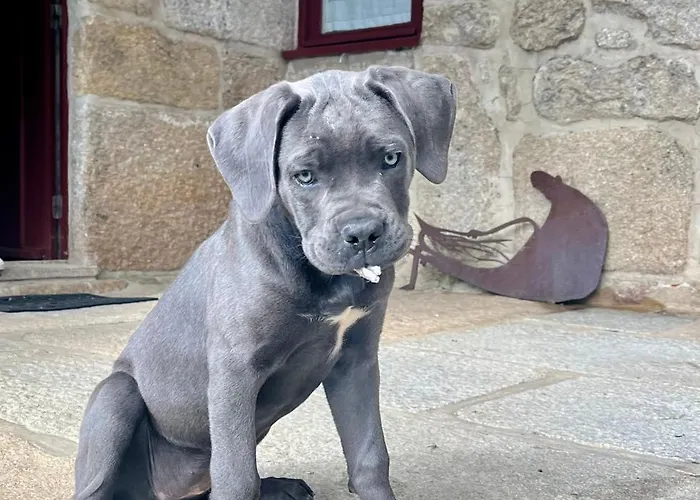 Σπίτι διακοπών Casa Da Eira Marco de Canavezes