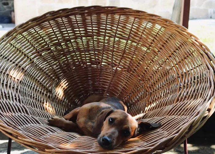 Σπίτι διακοπών Casa Da Eira