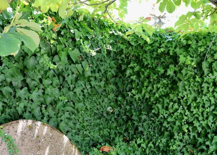 Σπίτι διακοπών Casa Da Eira *