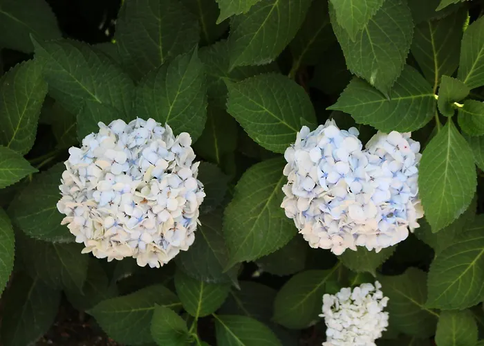 Σπίτι διακοπών Casa Da Eira *