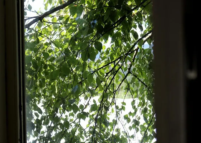 Casa Da Eira Marco de Canavezes